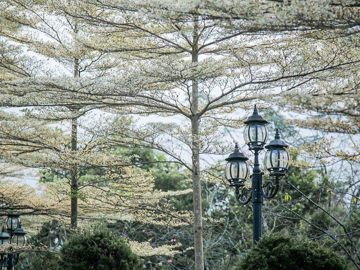 Flying Villa Nantou Exteriér fotografie